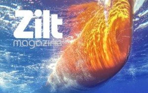 Zilt magazine verteld over het AXIWI communicatiesysteem bij zeilwedstrijden