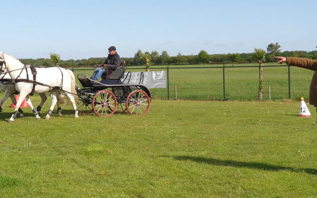 AXIWI instructieset paardrijden in gebruik bij trainingsstal VDB Stables