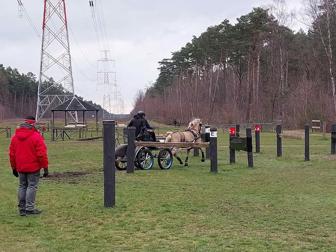 vdb-stables-paardrijden